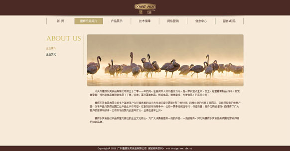开云(中国)Kaiyun